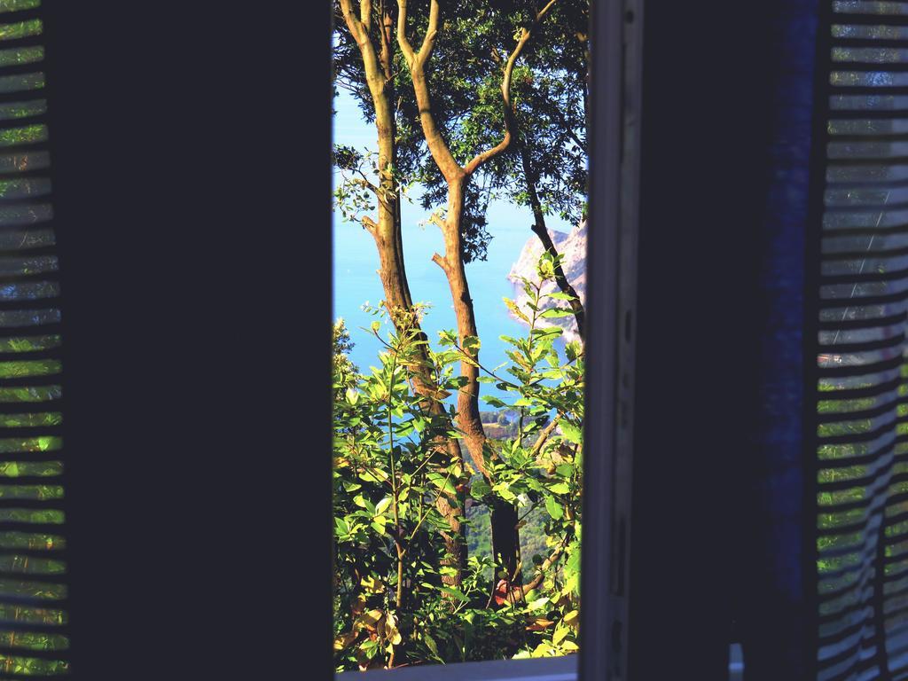 I Lecci Di Soviore Monterosso al Mare Exterior foto